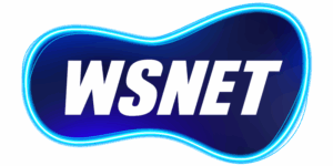 Portfólio WSNET- Saraiva